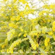 ヒメ日記 2025/03/20 18:15 投稿 むる 池袋あられ