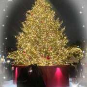 むる むる🌙 池袋あられ