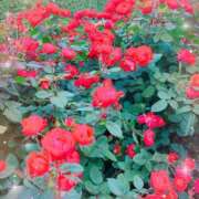 ヒメ日記 2025/05/21 16:14 投稿 じゅり 池袋あられ