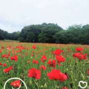 ヒメ日記 2025/06/02 17:24 投稿 ゆな 池袋あられ