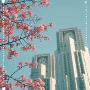 ヒメ日記 2026/02/26 17:06 投稿 さわ 池袋あられ