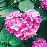 ヒメ日記 2025/08/08 23:28 投稿 佐保(さほ) PLUS十三店