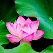 ヒメ日記 2025/09/05 08:38 投稿 佐保(さほ) PLUS十三店