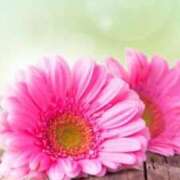 ヒメ日記 2025/09/08 23:18 投稿 佐保(さほ) PLUS十三店