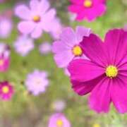 ヒメ日記 2025/09/24 23:18 投稿 佐保(さほ) PLUS十三店