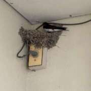 佐保(さほ) ほっこり〜♪ PLUS十三店