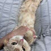 ヒメ日記 2025/12/03 17:48 投稿 よかぜ奥様 金沢の20代30代40代50代が集う人妻倶楽部