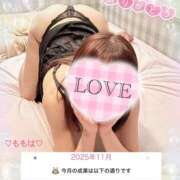 ヒメ日記 2025/11/12 22:45 投稿 ももは clubさくら梅田店