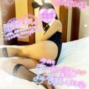 ヒメ日記 2026/02/28 23:55 投稿 ももは clubさくら梅田店