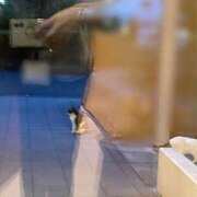 ヒメ日記 2024/12/14 22:14 投稿 かのこ 素人妻御奉仕倶楽部Hip's松戸店