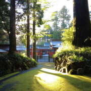 ヒメ日記 2024/12/15 07:14 投稿 かのこ 素人妻御奉仕倶楽部Hip's松戸店