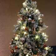 ヒメ日記 2024/12/25 21:24 投稿 かのこ 素人妻御奉仕倶楽部Hip's松戸店