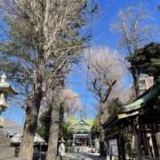 ヒメ日記 2025/02/14 13:52 投稿 かのこ 素人妻御奉仕倶楽部Hip's松戸店