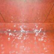 ヒメ日記 2025/03/11 07:38 投稿 かのこ 素人妻御奉仕倶楽部Hip's松戸店