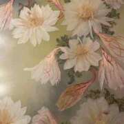 ヒメ日記 2025/03/23 18:28 投稿 かのこ 素人妻御奉仕倶楽部Hip's松戸店