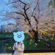 ヒメ日記 2025/04/03 20:58 投稿 かのこ 素人妻御奉仕倶楽部Hip's松戸店