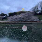 ヒメ日記 2025/04/10 23:38 投稿 かのこ 素人妻御奉仕倶楽部Hip's松戸店