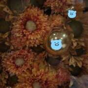 ヒメ日記 2025/04/14 01:36 投稿 かのこ 素人妻御奉仕倶楽部Hip's松戸店