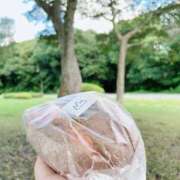 ヒメ日記 2025/04/15 09:46 投稿 かのこ 素人妻御奉仕倶楽部Hip's松戸店