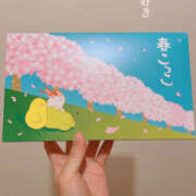 ヒメ日記 2025/05/01 18:46 投稿 かのこ 素人妻御奉仕倶楽部Hip's松戸店