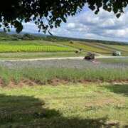 ヒメ日記 2025/05/05 22:36 投稿 かのこ 素人妻御奉仕倶楽部Hip's松戸店