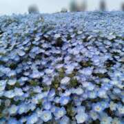 ヒメ日記 2025/05/11 17:56 投稿 かのこ 素人妻御奉仕倶楽部Hip's松戸店