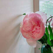 ヒメ日記 2025/06/03 14:36 投稿 かのこ 素人妻御奉仕倶楽部Hip's松戸店