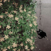 ヒメ日記 2025/06/06 23:51 投稿 かのこ 素人妻御奉仕倶楽部Hip's松戸店