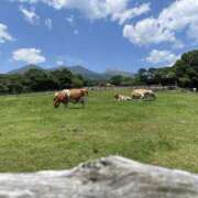 ヒメ日記 2025/07/08 13:46 投稿 かのこ 素人妻御奉仕倶楽部Hip's松戸店