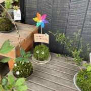 ヒメ日記 2025/07/17 20:46 投稿 かのこ 素人妻御奉仕倶楽部Hip's松戸店