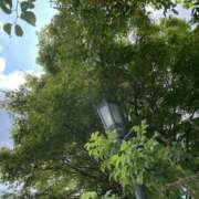 ヒメ日記 2025/09/12 14:01 投稿 かのこ 素人妻御奉仕倶楽部Hip's松戸店