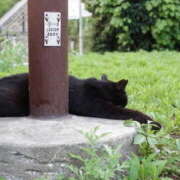 ヒメ日記 2025/10/19 11:50 投稿 かのこ 素人妻御奉仕倶楽部Hip's松戸店