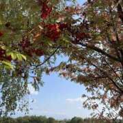 ヒメ日記 2025/10/25 23:19 投稿 かのこ 素人妻御奉仕倶楽部Hip's松戸店