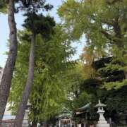 ヒメ日記 2025/11/07 04:59 投稿 かのこ 素人妻御奉仕倶楽部Hip's松戸店