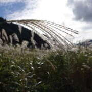 ヒメ日記 2025/11/18 10:29 投稿 かのこ 素人妻御奉仕倶楽部Hip's松戸店