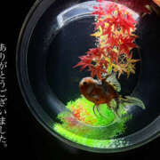 ヒメ日記 2025/11/26 01:49 投稿 かのこ 素人妻御奉仕倶楽部Hip's松戸店