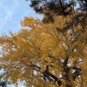 ヒメ日記 2025/12/02 20:09 投稿 かのこ 素人妻御奉仕倶楽部Hip's松戸店