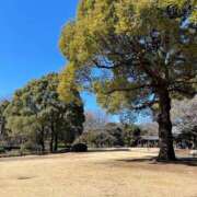 ヒメ日記 2026/02/15 15:19 投稿 かのこ 素人妻御奉仕倶楽部Hip's松戸店