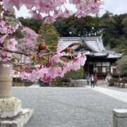 ヒメ日記 2026/03/27 15:19 投稿 かのこ 素人妻御奉仕倶楽部Hip's松戸店