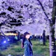 ヒメ日記 2024/12/08 19:53 投稿 らん ジュリアングループ三多摩店