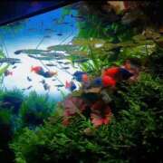 ヒメ日記 2026/04/13 21:27 投稿 持田 熟女の風俗最終章 新横浜店