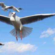 ヒメ日記 2025/02/22 15:02 投稿 うた 実録！おとなのわいせつ倶楽部