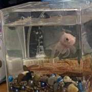 ヒメ日記 2025/07/31 14:02 投稿 うた 実録！おとなのわいせつ倶楽部