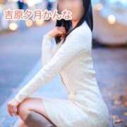 ヒメ日記 2025/11/27 13:09 投稿 かんな 夕月