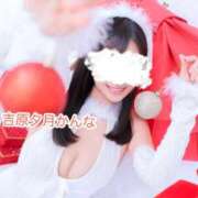 ヒメ日記 2025/12/03 05:09 投稿 かんな 夕月