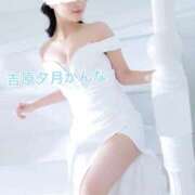 ヒメ日記 2026/02/24 21:33 投稿 かんな 夕月