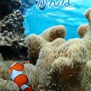 ヒメ日記 2026/03/12 22:49 投稿 かんな 夕月