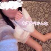 ヒメ日記 2026/03/17 09:59 投稿 かんな 夕月