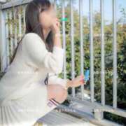 ヒメ日記 2026/04/01 06:19 投稿 かんな 夕月