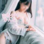 ヒメ日記 2026/04/11 14:29 投稿 かんな 夕月